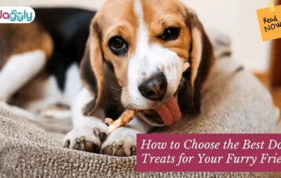 How-to-Choose -the-Best-Dog- Treats-for-Your- Furry-Friend