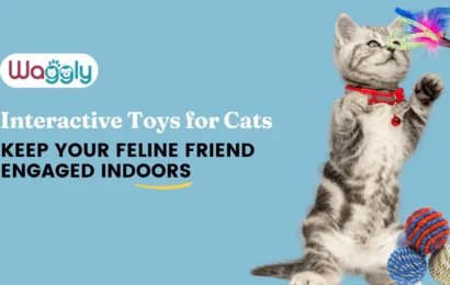 Interactive-Toys-for-Cats-Keep-Your-Feline-Friend-Engaged-Indoors