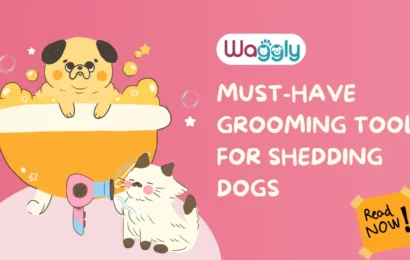 Must-Have Grooming-Tools- for-Shedding -Dogs
