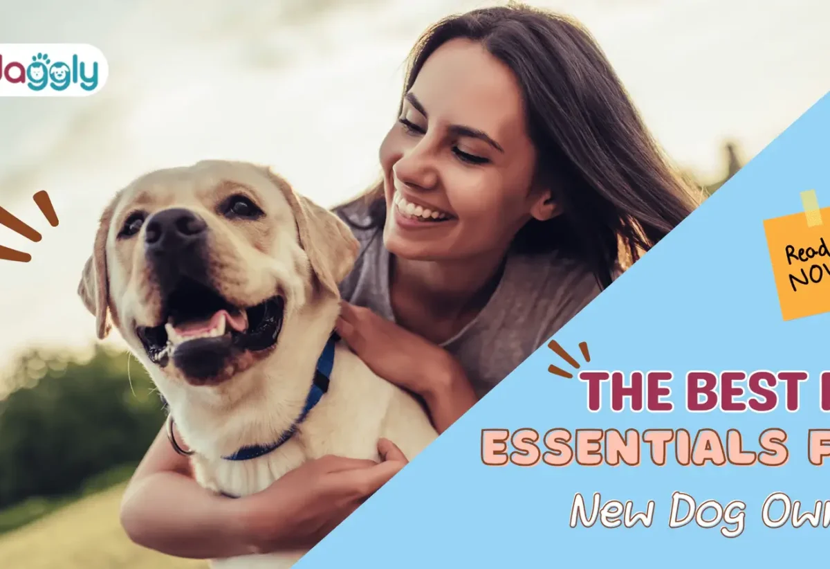 The-Best-Pet- Essentials-for -New-Dog-Owners
