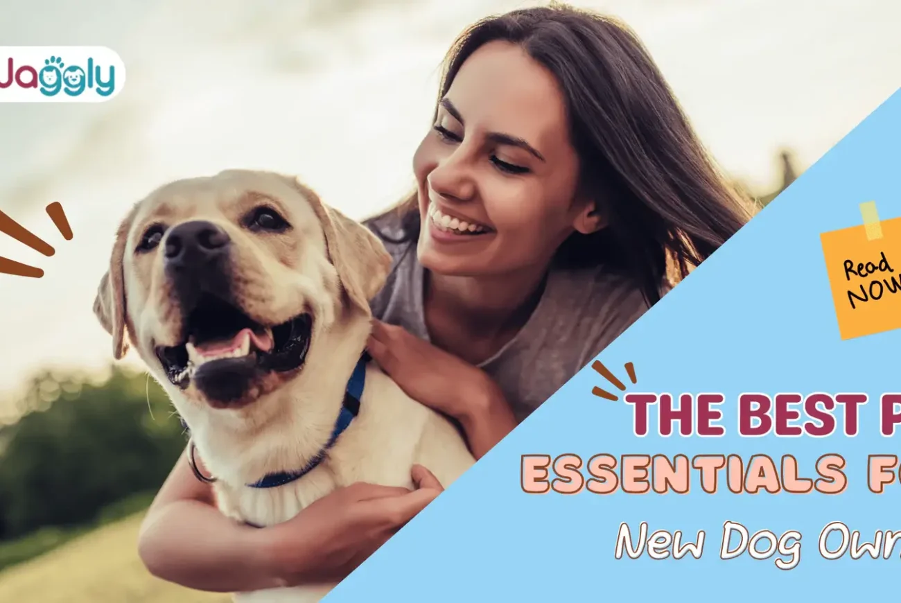 The-Best-Pet- Essentials-for -New-Dog-Owners