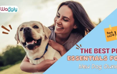 The-Best-Pet- Essentials-for -New-Dog-Owners