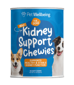 Pet Heal Pet Pads (25 Pieces) - 45*60cms